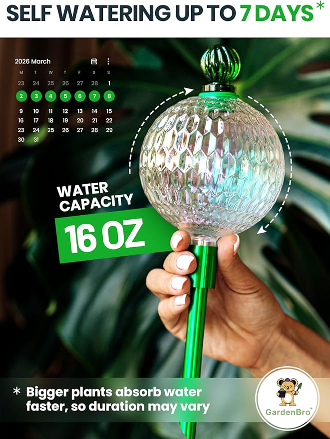 16 Oz Plant Watering Globes for Indoor Plants with Metal Self Watering Planter Insert - Premium XL Glass Hand-Blown Globe - Automatic Plant Waterer Indoor, Gift Idea for Gardeners [1 Globe, Textured]