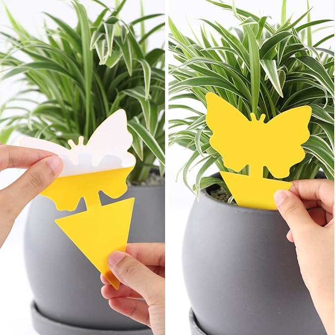 Garsum Fruit Fly Trap Yellow Sticky Traps,18 pcs Fungus Gnat Killer for Indoor and Outdoor Plant Insect Catcher for White Flies,Mosquitos,Fungus Gnats,Flying Insects,