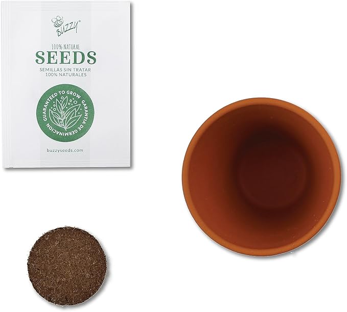 BUZZY Seeds Sunflower Daydream Collection 6-Pack Mini Terracotta Grow Pots, Includes Seed Packets and Growing Medium, Flower Starter Kit, Indoor Gardening Gift, Wedding Favors