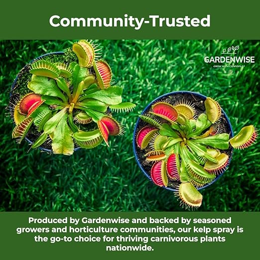 GARDENWISE 100% Organic Marina Mist Carnivorous Plant Food | Liquid Kelp Foliar Spray for Plants - Kelp Fertilizer for Venus Flytraps, Sundew, Butterworts, Pitcher Plants 16 Oz
