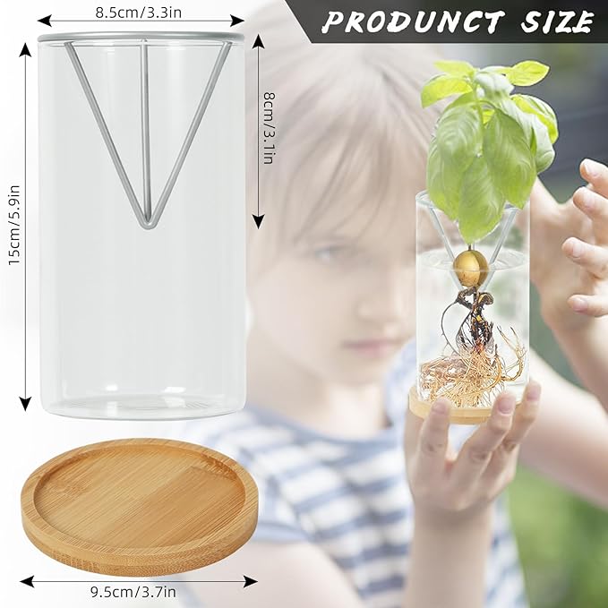 Bylion Avocado Tree Growing Kits, Avocado Growing Vase Wooden Base Avocado Seed Starter Vase Glass Plant Pot Easy Seed Sprout Starter Gift for Women Gardening Lovers Home Office Table Decoration