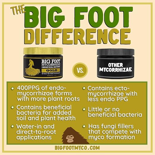 Mycorrhizal Fungi for Massive Plant Roots with Beneficial Organisms by Big Foot - Use During Transplanting, Water in or Hydroponics for All Plants - Gold 32 Ounces