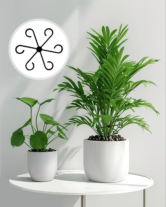 12Pcs Plant Stem Support,4 Sizes Reusable Monstera Plant Support Stakes Durable Plastic Climbing Houseplant Stem Hook Holders for Flower Plants Indoor Outdoor Growth Accessories