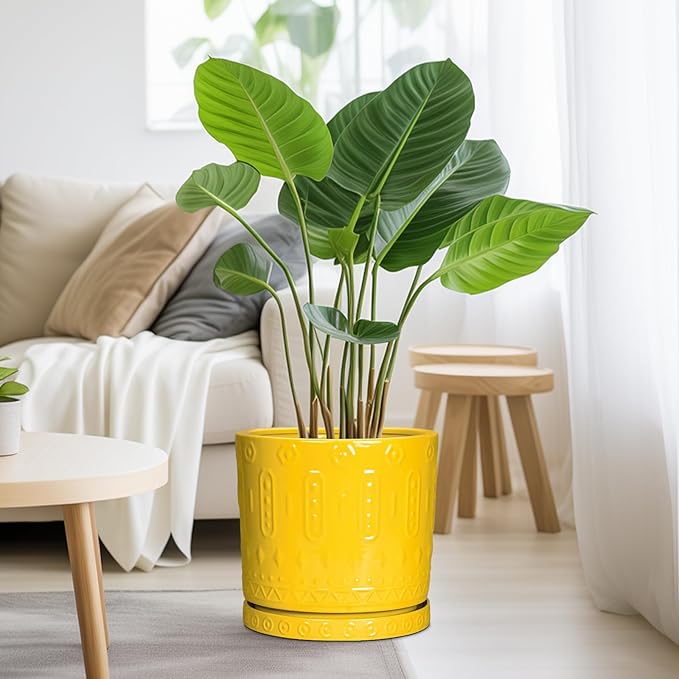 Eightpot Ceramic Pots for Plants, 10 Inch Plant Pot with Drainage Holes and Tray, Round Planter for Indoor Outdoor Plants, Modern Decorative Flower Pots, Office Decor, Birthday Gift for Women, Yellow