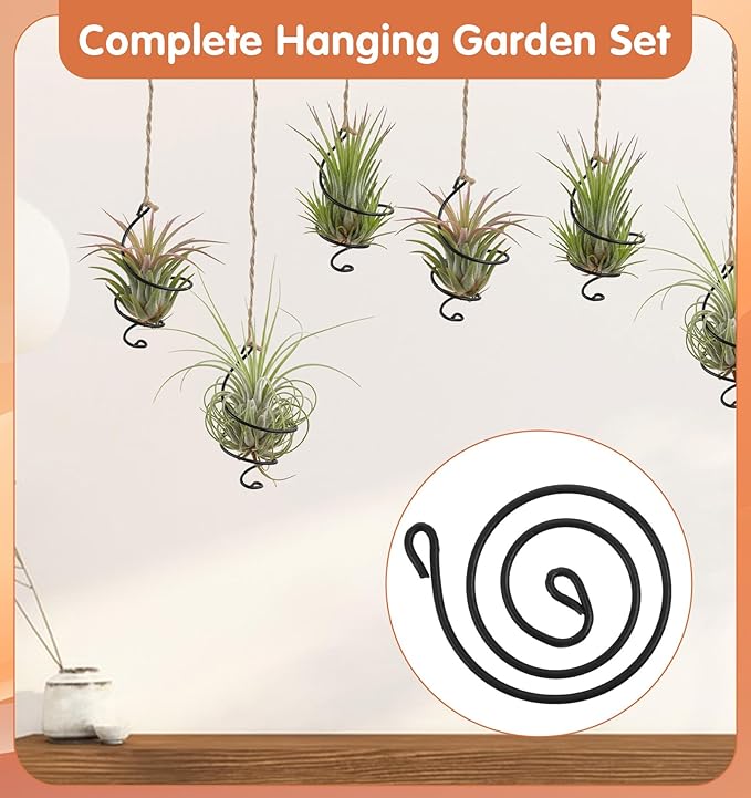 6Pcs Hanging Air Plant Holder, Air Plant Hanger with Jute Ropes, Soilless Tillandsia Display Stand for Home & Office Decor, Succulent Container