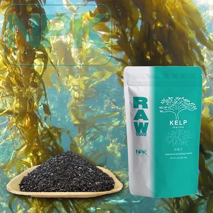 RAW Kelp Marine Water-Soluble Plant Growth Booster Fertilizer for Root Development and Plant Growth, 8oz