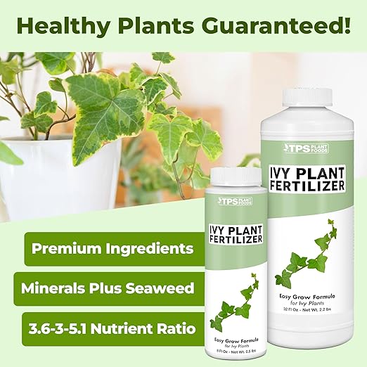 Ivy Plant Food – Liquid Plant Food for Longer Vines, Rich Green Leaves & Healthy New Growth, 32 oz