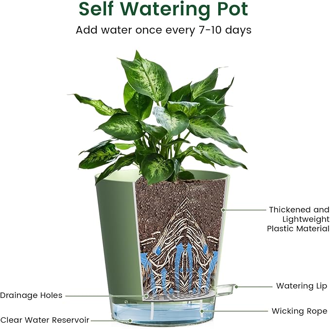 Meowell 8 inch Self Watering Pots for Indoor Outdoor Plants, 2 Pack Flower Plant Pots with Drainage Holes & Clear Reservoir for Visible Water Level, Plastic Wicking Planters for House Plants, Green