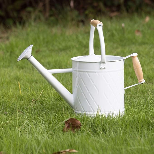 1 Gallon Watering Can with Wooden Handles, White, Galvanized, Metal Watering Can with Removable Spout, Perfect Water Can for Indoor and Outdoor Plants
