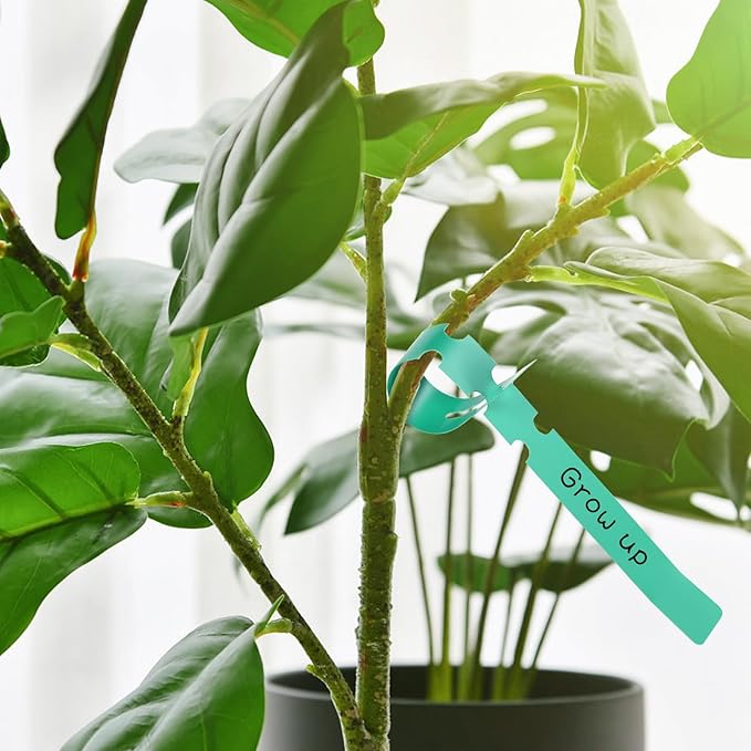 Foraineam 1000 PCS Plant Labels 5 Colors Wrap Around Hanging Tree Tags, Adjustable Plant Tags Markers Waterproof Nursery Garden Labels
