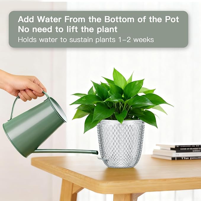QCQHDU Self Watering Hanging Pots, 2 Pack 5.7 Inch Hanging Planters for Plants Indoor, Flower Pots with Drainage Holes and 3 Hooks Chains for Garden Home (Clear)