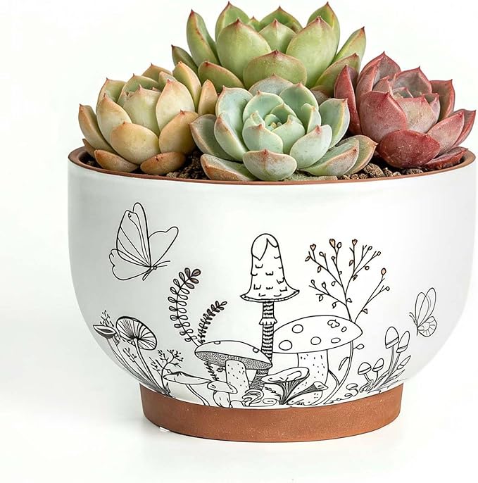 Terracotta Succulent Pots, 6 Inch Plant Pot for Plants with Drainage Hole, Ceramic Planter Mushroom Pattern, Round Flower Pots for Indoor Outdoor Herb Orchid Snake Plants - 1 Pack