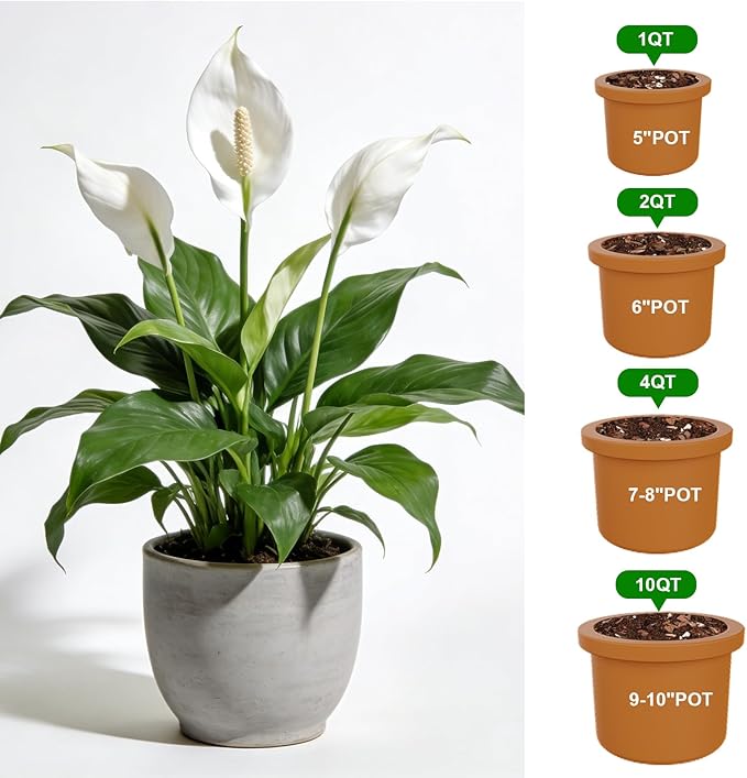Premium Peace Lily Potting Soil 1qt– All Natural, Well-Draining & Breathable Soil for Peace Lily & Indoor Plants