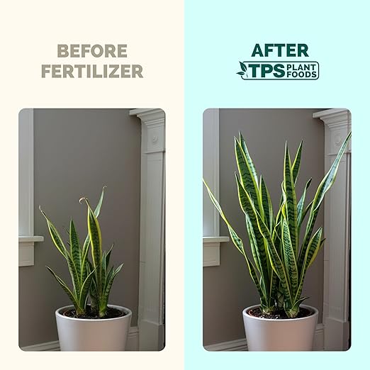 Snake Plant Fertilizer – Liquid Plant Food for Upright Growth, Strong Roots & Rich Green Leaves, 8 oz