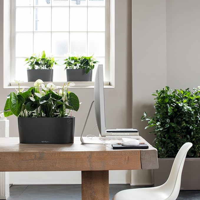 Lechuza Delta 10 Charcoal Metallic, Self-Watering Planter Indoor, H5.1 L11.8 W4.3 in