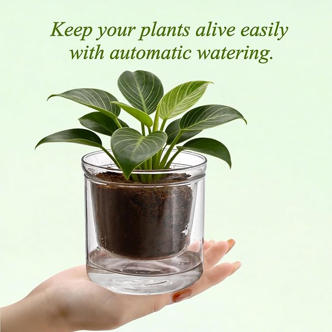 Tebery 2 Pcs Clear Plant Pots, 3.75 Inch Glass Nursery Pots with Drainage Saucer, Indoor Self Watering Planters for Houseplants African Violet Orchid Succulents, Ideal for Garden Home Decor