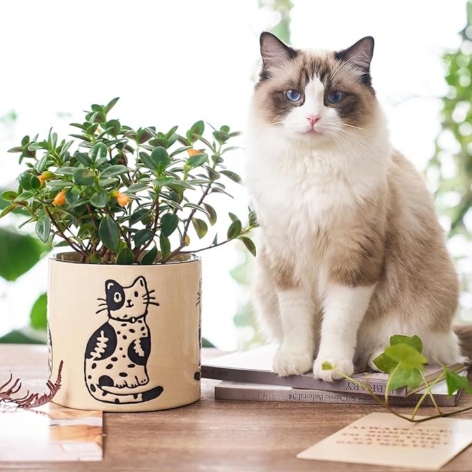 STHIE 5 Inch Ceramic Plant Pots with Drainage Holes, Small Round Flower Pots for Indoor Plant, Unique Animal Flower Planters (Cat)