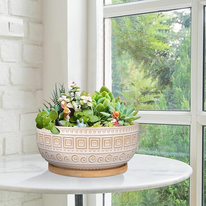 G EPGardening 8 Inch Ceramic Succulent Planter Pots for Indoor Plants Round Shallow Bonsai Planter Pot with Drainage and Bamboo Saucer White