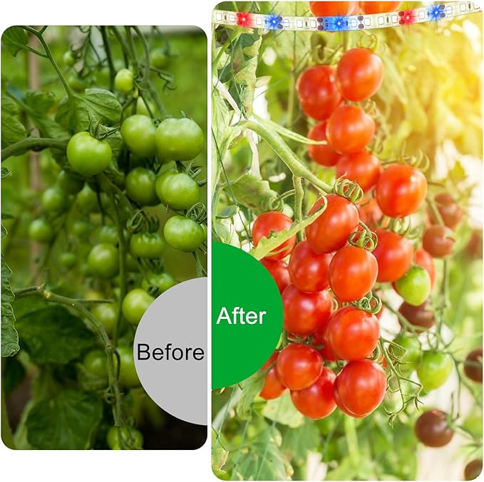 LED Grow Light Strips for Indoor Plants, 3 Head Each 10ft 120LED Red Blue White Full Spectrum Plant Grow Light Tape with 3 Timers Dimmable Auto On/Off, 24W Plug in Plant Light for Seedling Shelf