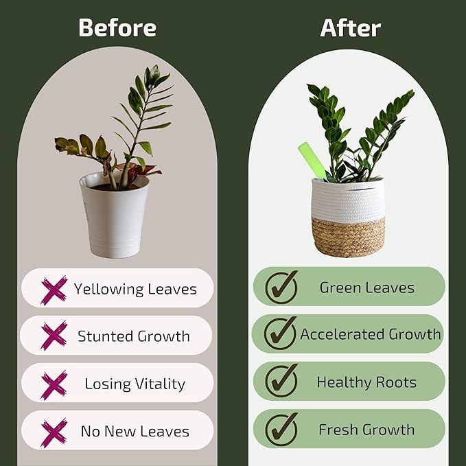 Plant Vitality Duo – Liquid Fertilizer & Neem Oil