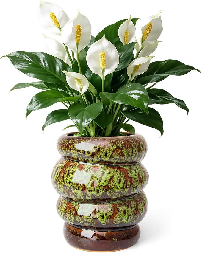 Ceramic 5 inch Plant Pot - Planter for Indoor Plants with Drainage Hole, Flower Pots for Orchid, Succulent,Outdoor Plants, Modern Glaze Planters for Home Office Decor Gift