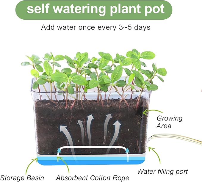 Oliz Self Watering Planters - 4 Pack Rectangular Clear Plant Pots with Drainage Holes for Indoor Plants