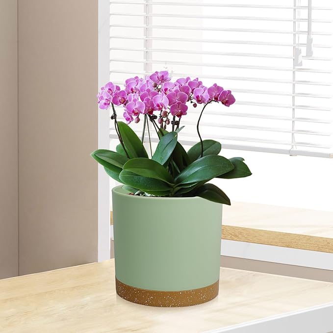WSMKSZ 3 Pack 6/5/4 inch Cylindrical Flower Pots, Modern Small Round Plastic Plant Pots with Drainage Holes & Saucers, Clean and Refined Planter Pots for Outdoor, Indoor & Office Decor (Green Brown)