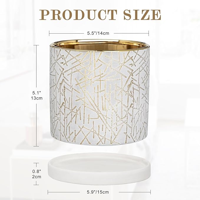 Ceramic Plant Pots with Drainage Hole & Saucer, Gold & White Ceramic Planter Pot for Indoor & Outdoor, 5.5" Small Plant Pots Decorative Flower Pot for Succulents, Herbs, Cactus, Orchids Planter