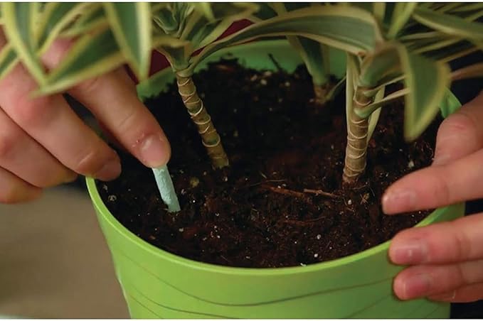 Miracle-Gro Indoor Plant Food Spikes, Includes 24 Spikes - Continuous Feeding for all Flowering and Foliage Houseplants - NPK 6-12-6