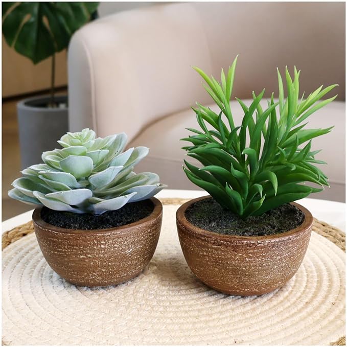 Artificial Plants Indoor with Pot, 2 Pack Fake Plants Indoor, Faux Succulents for Desk, Faux Greenery in Modern Farmhouse Decor, Home Decor Bathroom Bedroom Decor Aesthetic Coworker Gift