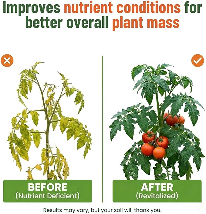 GS Plant Foods Liquid Kelp Fertilizer – Suitable for Organic Growing, OMRI Listed Seaweed Concentrate for Flowers, Gardens, Vegetables & Soil - 1 Quart (Makes Up to 200+ Gallons)