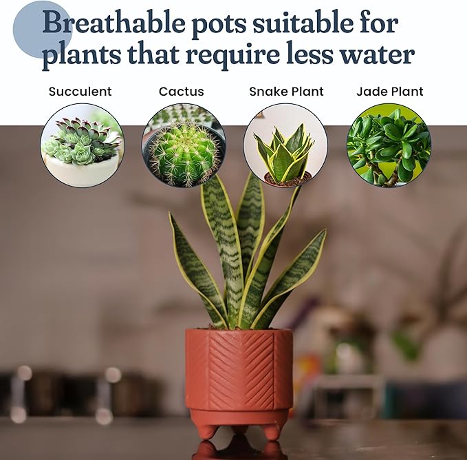 FINE Living 4 Inch Terracotta Pot with Chevron Pattern, Boho Ceramic Planter Clay Pots for Indoor Plants, Succulent Planter with Drainage Hole and Mesh Net for Gifts, Garden & Home Decor