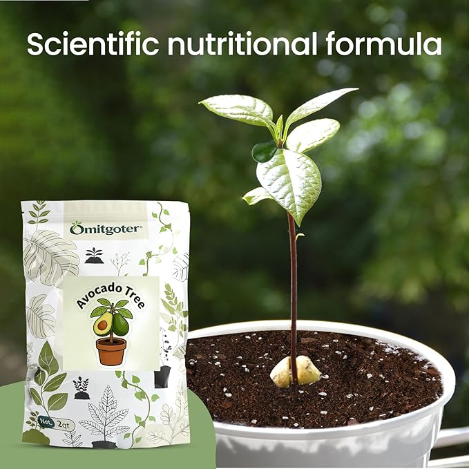 Avocado Soil 1qt, 100% Natural Organic Potting Soil for All-Stage Avocado Tree Growth