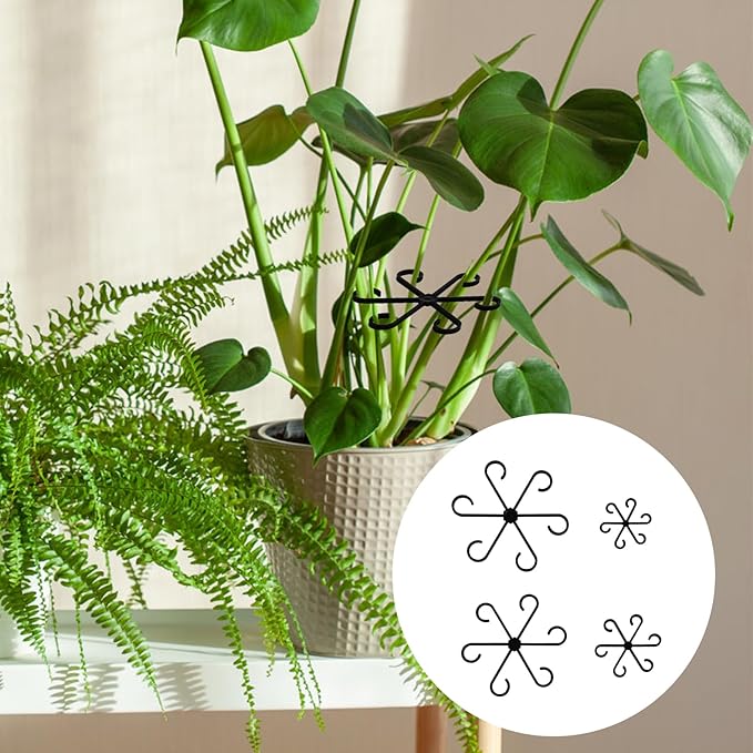 PEUTIER 4pcs Plant Stem Supports, Plastic Houseplant Climbing Holders Stabilizer Reusable Small Climbers Flower Plant Stakes Trellis Stem Hook Growth Accessories for Indoor Monstera (Black)