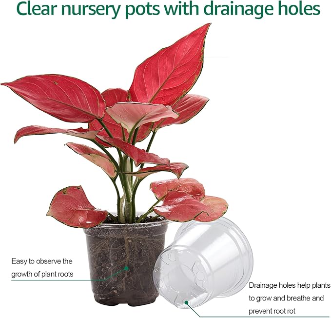 Bluepro 30 Packs 4 Inch Reinforced Clear Nursery Pots with Humidity Dome, Transparent Plastic Plant Pot Seedling Planter with Drainage Holes for Vegetable Propagation, Root Cutting, Seed Starting