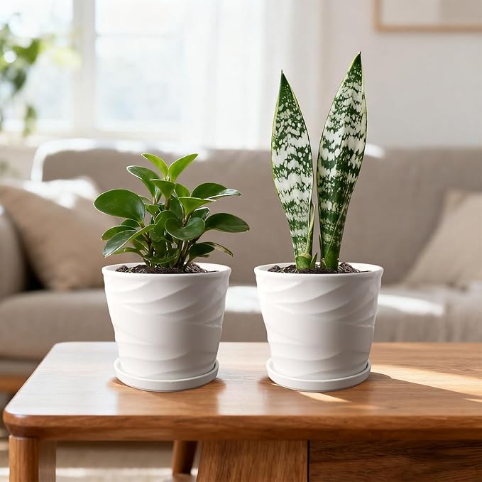 6 Inch Plant Pot,Ceramic Planter with Drainage and Saucer,Ceramic Pots for Plants,Planters for Indoor Plants,Ceramic Flower Pots(6.7 in Diameter)