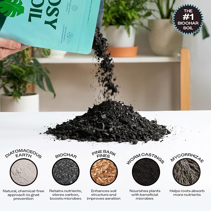 Rosy Soil Indoor Potting Soil for House Plants, 2 x 8 qrt - Organic Potting Soil Mix for Indoor Plants -Enriched w/Root-Boosting Biochar for Foliage Plants, Flowers, Herbs - Pack of 2