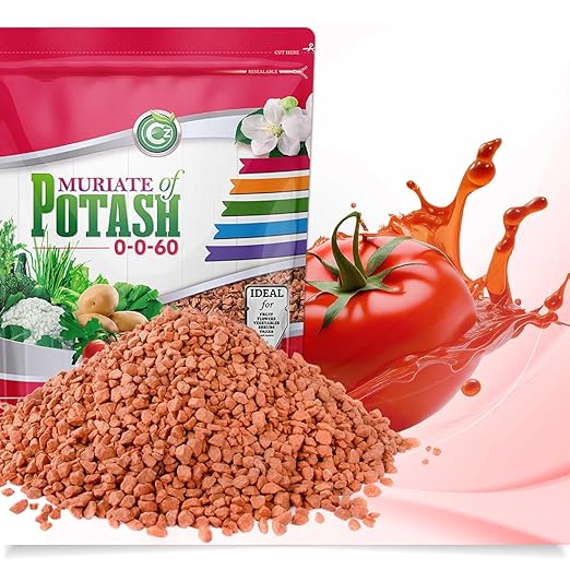Muriate of Potash 0-0-60 Fertilizer Made in USA - MOP Potassium Plant Food for Indoor/Outdoor Plants, Flower Gardens, Fruit and Vegetable Gardens, Holistic Herbs, Trees and Lawns!