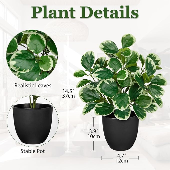Villa Como 14.5" Artificial Plants Indoor Home Decor, Fake Potted Silk Plants for Shelves Living Room Decorative, Small Artificial Office Desk Plant in Pots, Faux Peperomia Hope Tropical House Plant