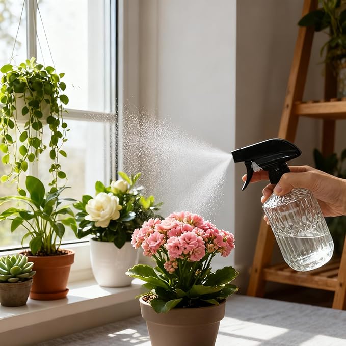 YYTSGG Clear Glass Handheld Spray Bottle, 15oz Refillable Plant Mister Bottle, Water Spray Bottle with Adjustable Mist Nozzle for Indoor Flowers, Outdoor Gardening, Cleaning, Hair and Pets Care