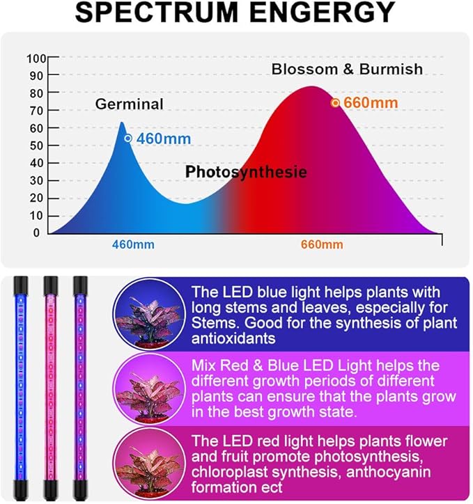LED Grow Lights for Indoor Plants, 80W Plant Grow Lights Full Spectrum Auto ON Off with 3/9/12H Timer, 9 Dimmable Lightness Clip-On Desk Grow Lamp Bulbs (4 Heads)