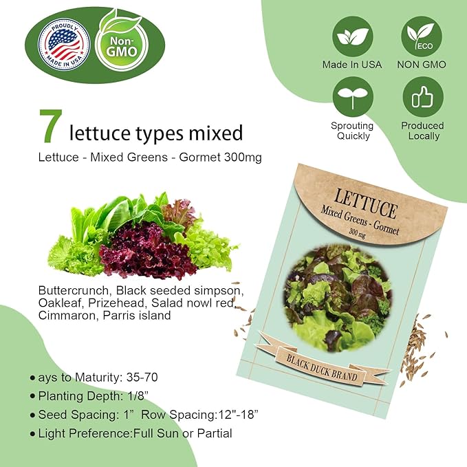 Salad Seed Pods, 12 Pods Grow Anything Kit for All Hydroponics Growing Systems with 300mg Varity Seeds of Buttercrunch, Black Seeded Simpson, Oakleaf, Prizehead, Red Salad Bowl and so on
