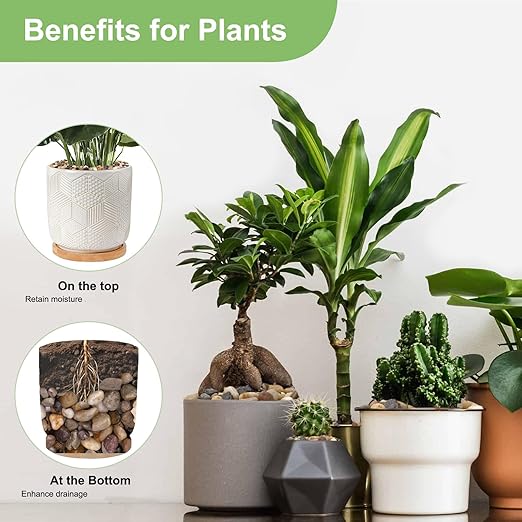 Pulovin 5 lbs Drainage Rocks for Potted Plants, 1/5 Inch Small Pebbles for Indoor Plants, Decorative Gravel for Vases, Bamboo, Succulent, Terrarium, Crafts, Cactus