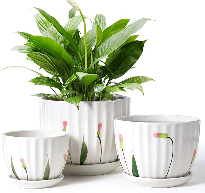STHIE 4/5/6 Inches Ceramic Plant Pots with Drainage Holes and Saucers, Round Flower Pots for Indoor Plant, Small Flower Planters Set of 3 (White Floral-Big Size)