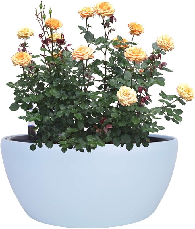 Vencer 11 Inch Plastic Round Self Watering Planter,Water Indicator,Modern Decorative Planter Pot for All House Plants Flowers, Herbs, Vegetables, Tropical,Ice Blue,VF-048B