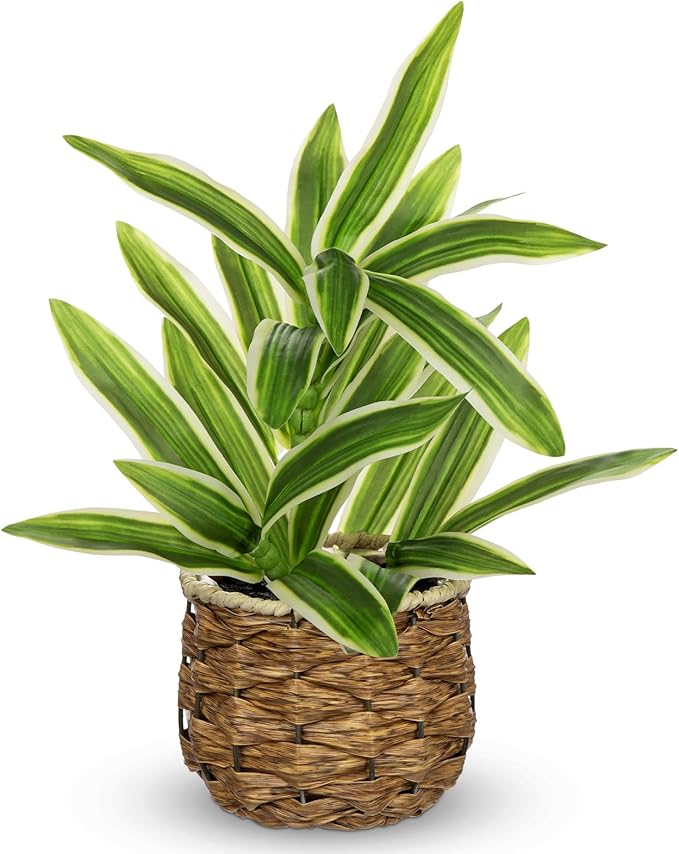 Fake Plants Dracaena Artificial Plant Realistic Faux Plants in Woven Pot Small Indoor Plants Fake Potted Plants 12.6" Artificial Decor for Home Living Room Bathroom Office House Table Desk Shelf