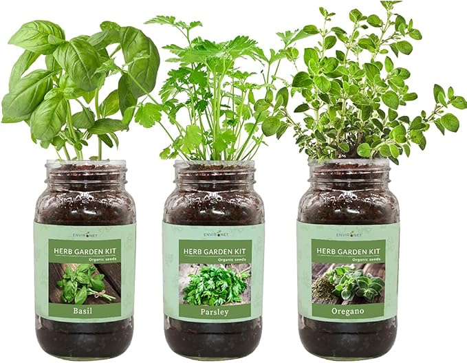 Herb Gift Set, Mason Jar Herb Garden Starter Kit Indoor, Includes 3 Mason Jar, 9 Coco Coir Planting Wafers and 3 Kinds of Heirloom Organic Seeds (Basil, Parsley, Oregano)