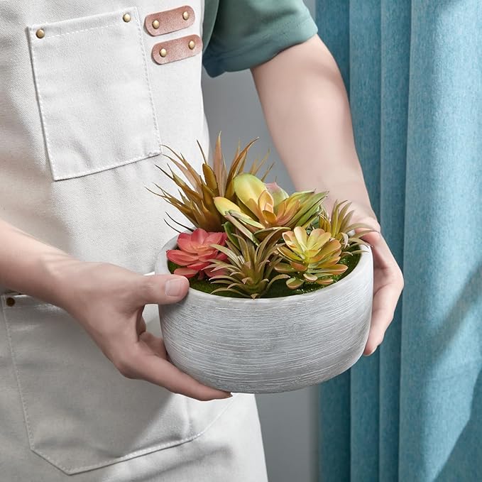 6 Inch Artificial Succulent Plants in Pots,Realistic Fake Succulents with Gray Ceramic Pot for Home Office Desk Bathroom Coffee Table Decor