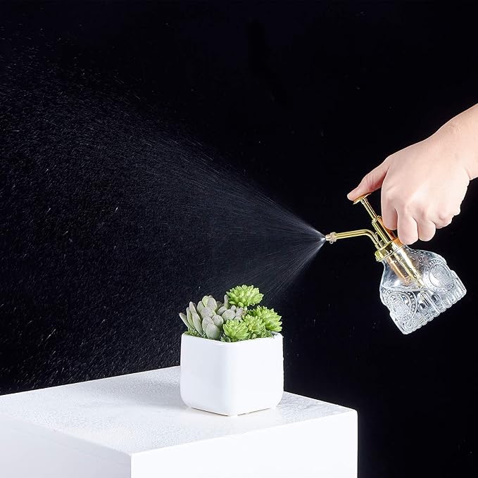 Glass Plant Mister Spray Bottle, Vintage Succulent Water Sprayer with Golden Top Pump, Small Sprayer Mister for Indoor Outdoor House Plants - Clear