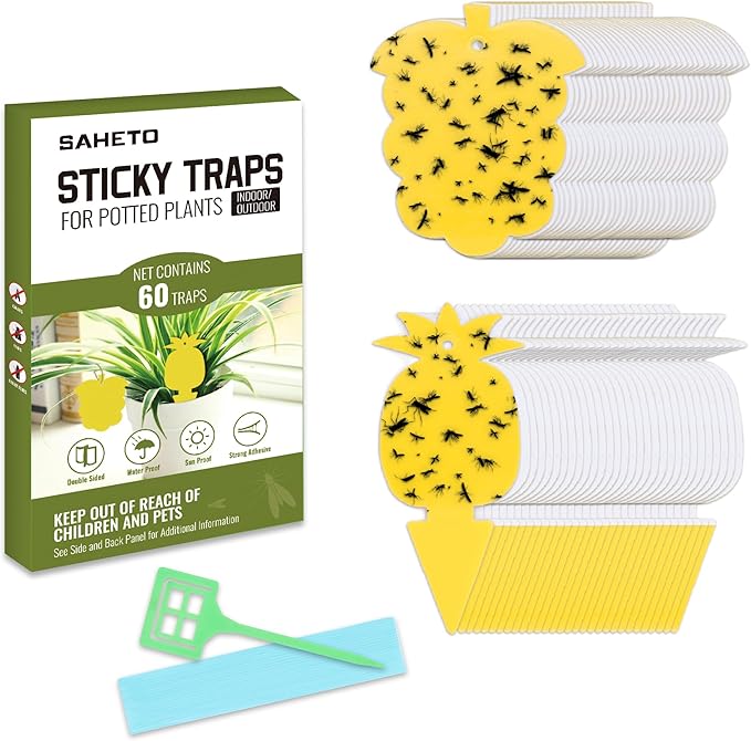 60 Pcs Gnat Traps for House Indoor Fruit Fly Traps Fungus Gnat Traps Yellow Sticky Traps for Plant Gnats No Harm and Odorless for Indoor Outdoor Use